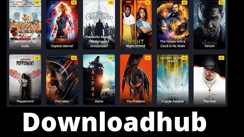 Downloadhub 2022